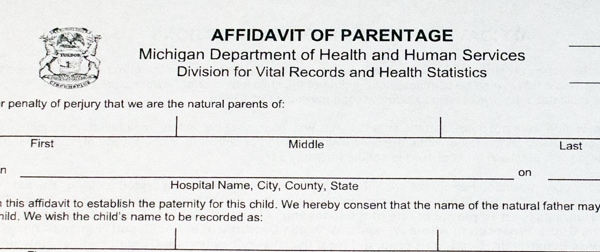 Michigan paternity legal forms titled Affidavit of Parentage